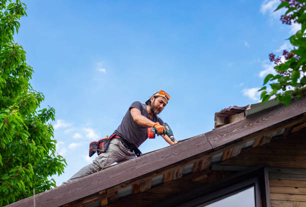 Best Roof Moss and Algae Removal  in Reston, VA